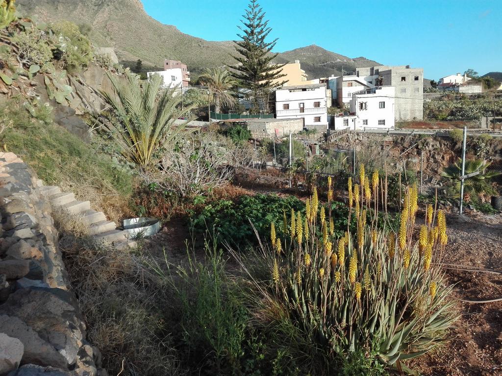 Finca Patio Canario Arona  Dış mekan fotoğraf