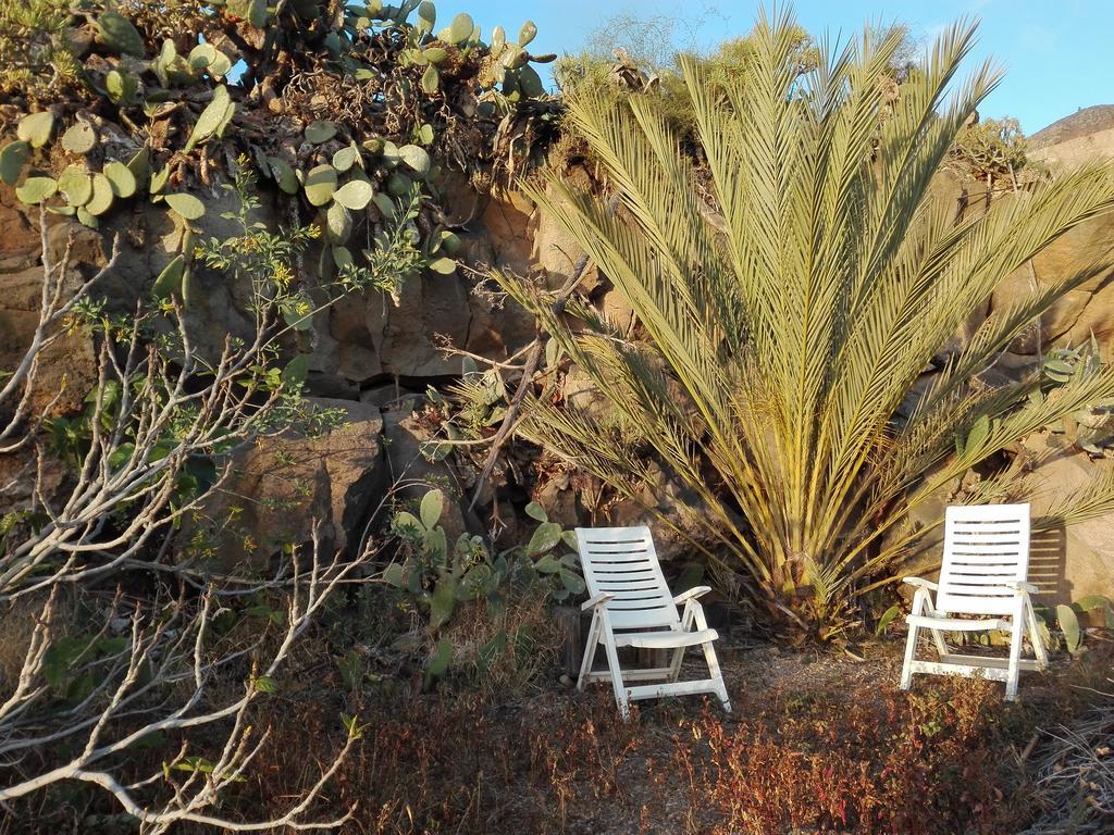Finca Patio Canario Arona  Dış mekan fotoğraf